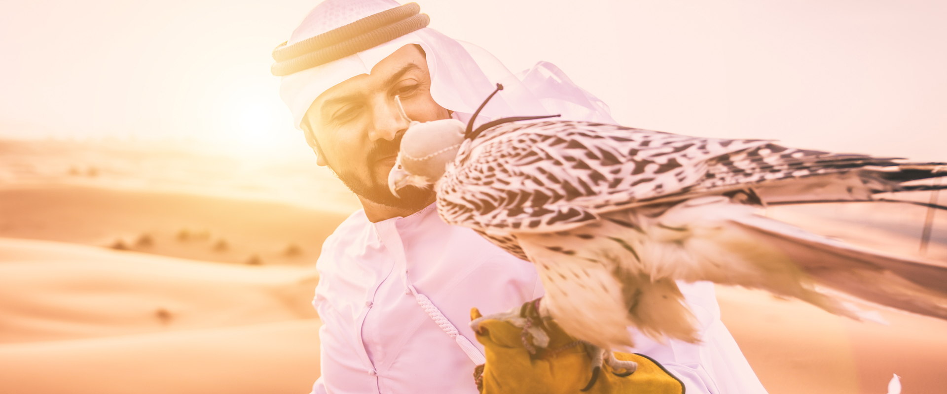 Quad Bike Dubai FAQ